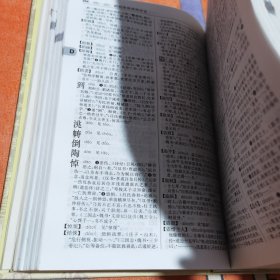 古代汉语词典(第2版)