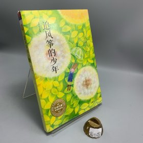 安武林主编第一套彩色儿童文学读本：追风筝的少年