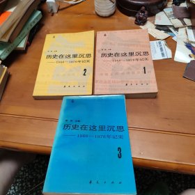 历史在这里沉思——1966-1976年记实