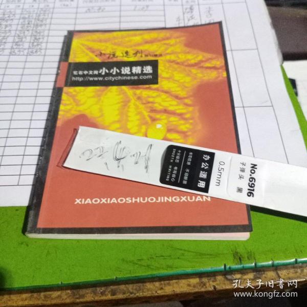 小说选刊赠送 小小说精选