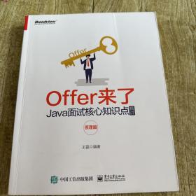 Offer来了：Java面试核心知识点精讲（原理篇）