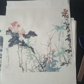 雁荡山花（中国画）