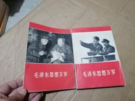 毛泽东思想万岁 上下册