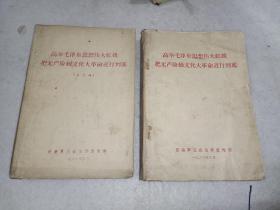 《高举毛泽东思想伟大红旗（第一、四、五、六、七、八、九、十、十二、十五辑）》小32开，详情见图！西6--4（10）