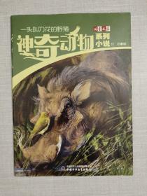 神奇动物系列小说  一头叫刀花的野猪