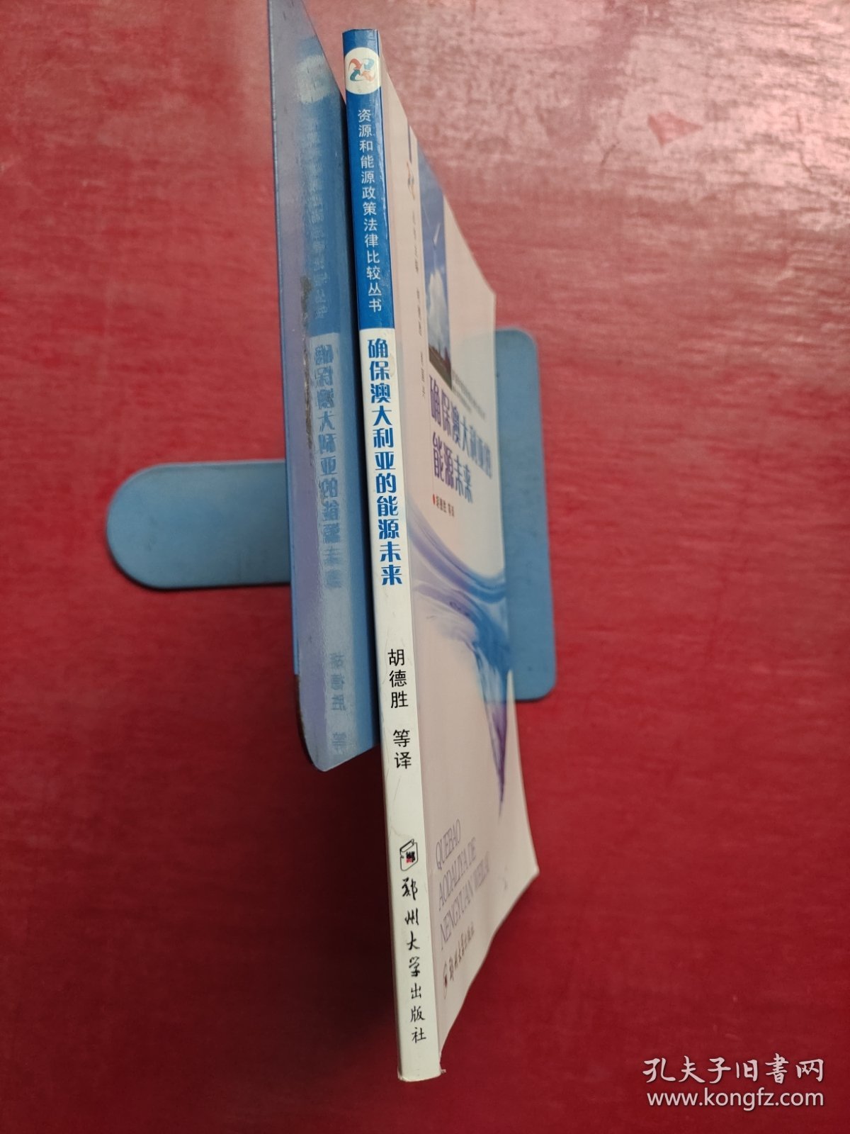 资源和能源政策法律比较丛书：确保澳大利亚的能源未来