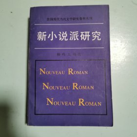 法国现当代文学研究资料丛书：新小说派研究