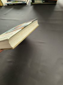 午夜日记：叶利钦自传