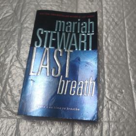 mariah stewart last breath