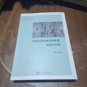 中国公共治理实践案例：实现公共价值