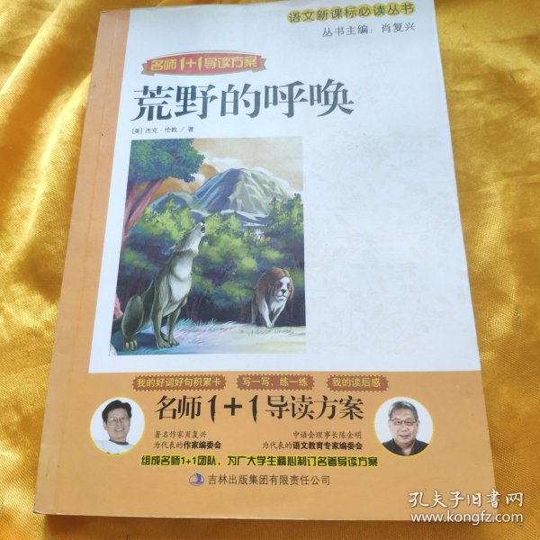 名师1+1导读方案 荒野的呼喊