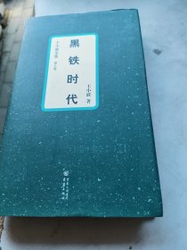 黑铁时代：王小波全集：8