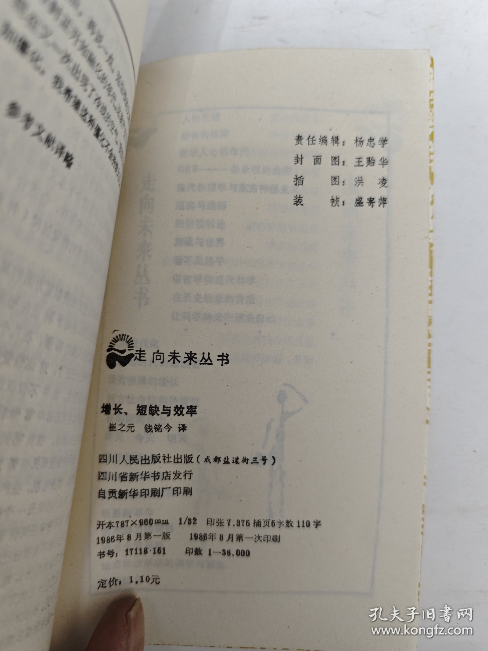 走向未来丛书：增长、短缺与效率