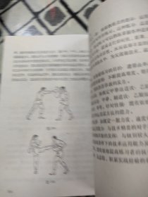 中华武术--套路、散打基本技法（仅印2000本）