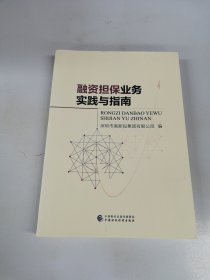 融资担保业务实践与指南