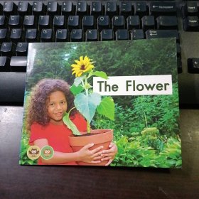 The Flower（海尼曼分级阅读 Level A 第30册）