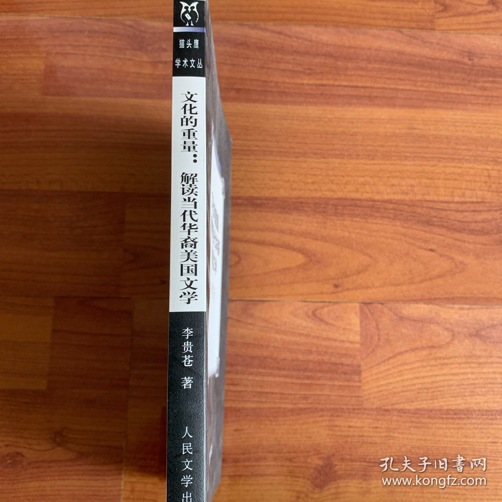 文化的重量：解读当代华裔美国文学