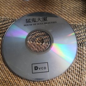 猛鬼大厦 DVCD 裸盘