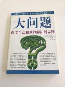 大问题──改变生活和世界的拓展思维：改变生活和世界的拓展思维