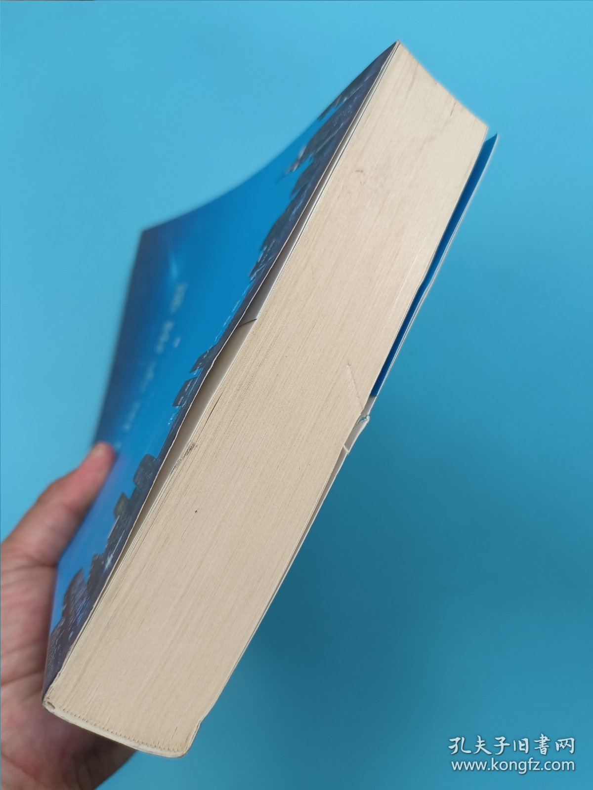 自医学纲要（第二版）