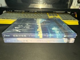 我梦至南洲1.2（两册合售）