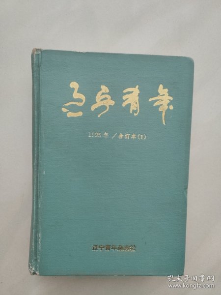 辽宁青年 1990年 合订本 1