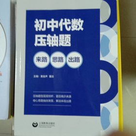 初中代数压轴题：来路、思路、出路