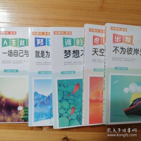 拼搏吧，青春（全6册）谁的梦想不彷徨+愿你的天空明媚如初+出发不为彼岸只为海+追寻波澜壮阔的人生等