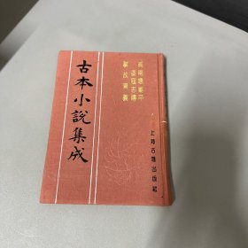 古本小说集成：戚南塘剿平.倭寇志传.掌故演义自然老化黄斑磨损不影响阅读