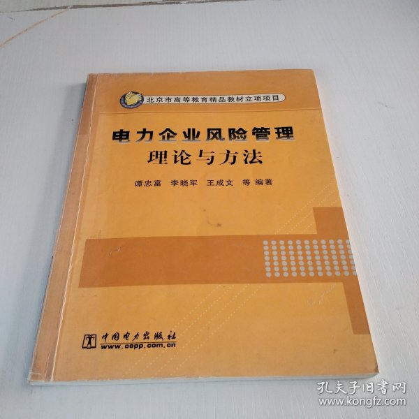 电力企业风险管理理论与方法