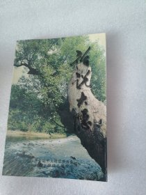 话说大隐