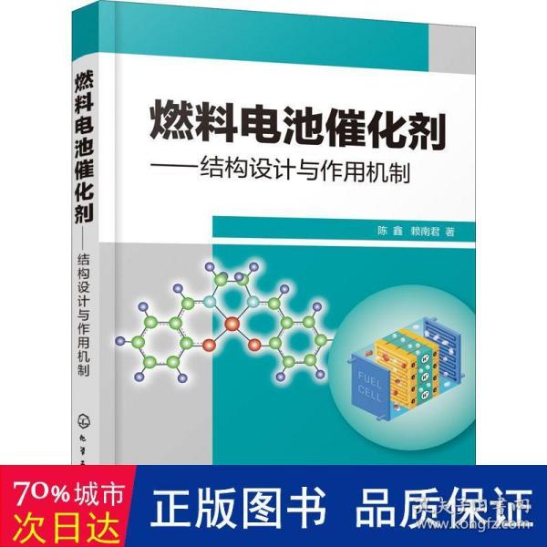 燃料电池催化剂——结构设计与作用机制