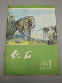 化石1975年1