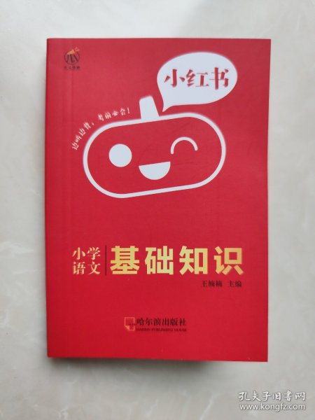 南瓜姐姐小红书小学语文基础知识2020版小学通用瓜二传媒网红小口袋书