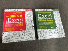 一图抵万言 从Excel数据到分析结果可视化、函数和动态图表让数据分析更加高效（两本合售）