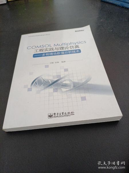 COMSOL Multiphysics工程实践与理论仿真：多物理场数值分析技术