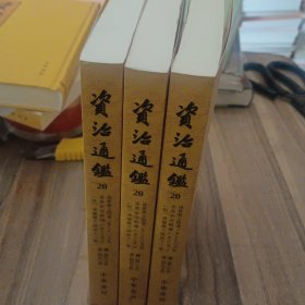 资治通鉴20