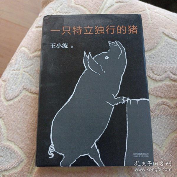 一只特立独行的猪