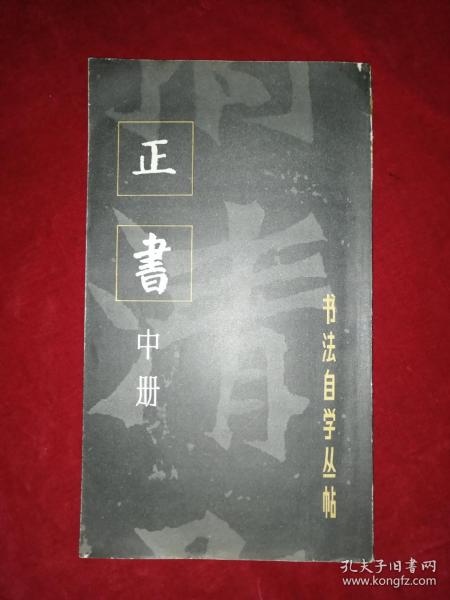 正书(中册)