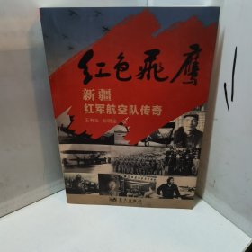 红色飞鹰 : 新疆红军航空队传奇