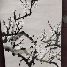 无款花鸟画，国画：约90年代南京流出，花鸟画、35X65 厘米，白梅