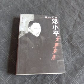 我的父亲邓小平：文革岁月（无盘）