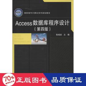 Access 数据库程序设计