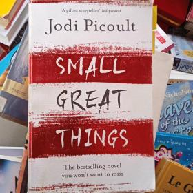 JODI PICOULT SMALL GREAT THINGS
小而伟大的事情