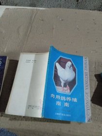 肉用鴿養(yǎng)殖指南
