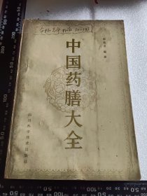 中国药膳大全