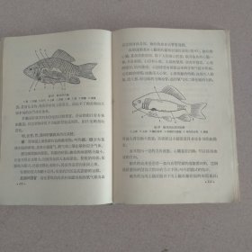 动物学