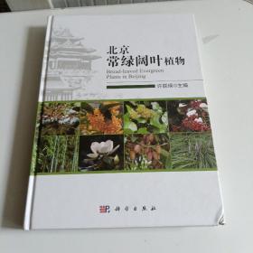 北京常绿阔叶植物