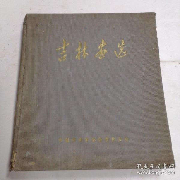 吉林画选  12开精装 1960年编印 近8.5品见图