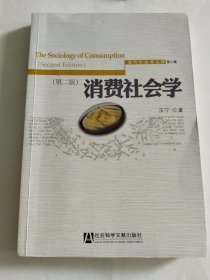 消费社会学